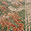Dua Jute Green